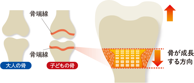 子供の成長のために20歳までにしておくと良い3つのこと ボンラビ カラダの中から人生は変わる 30代 40代女性のためのメディア 子供の成長のために20歳までにしておくと良い3つのこと ボンラビ カラダの中から人生は変わる 30代 40代女性のためのメディア