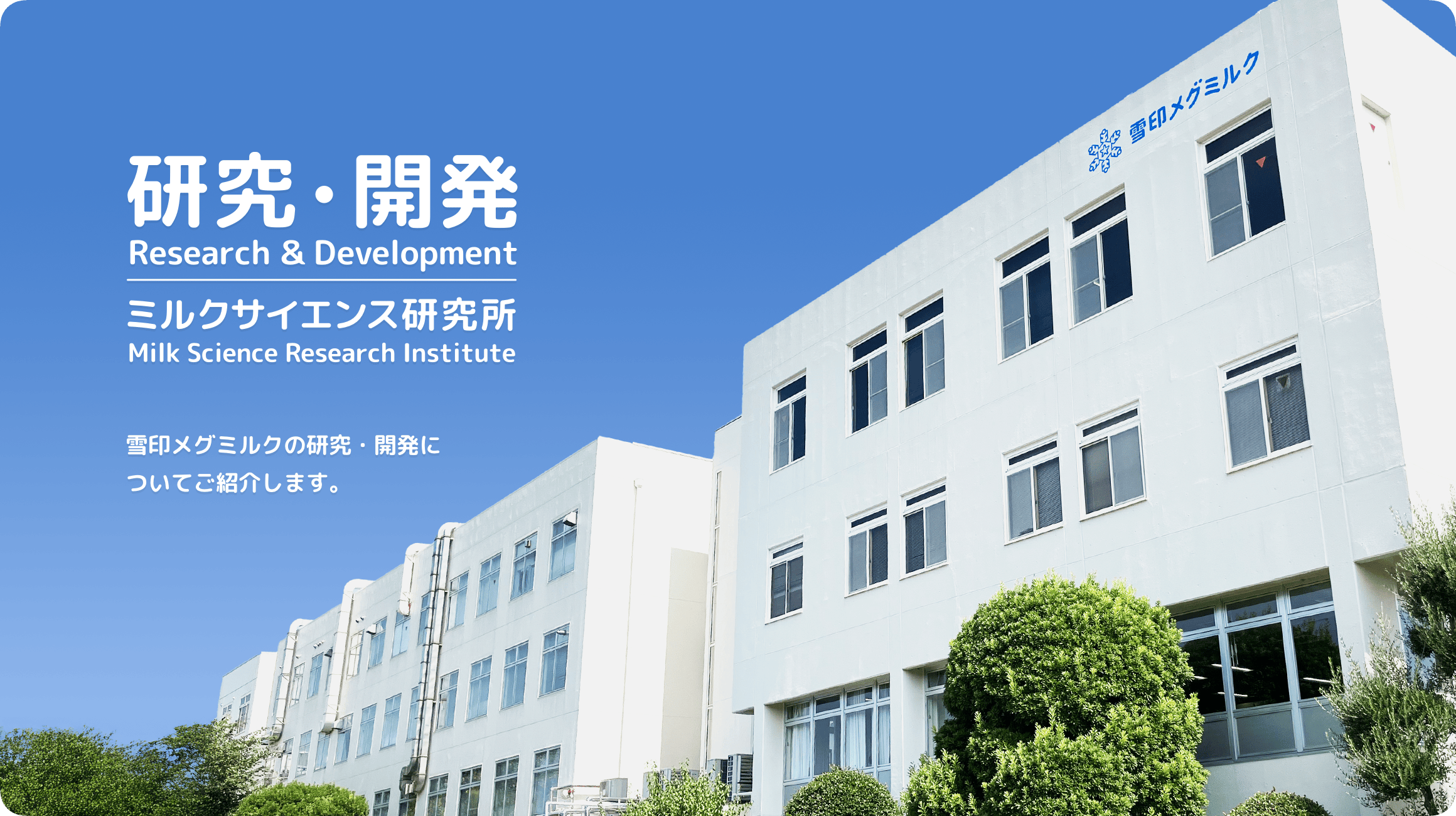 研究開発　ミルクサイエンス研究所