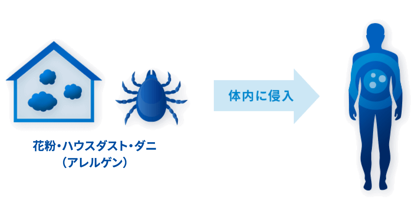花粉・ハウスダスト・ダニ（アレルゲン）が体内に侵入