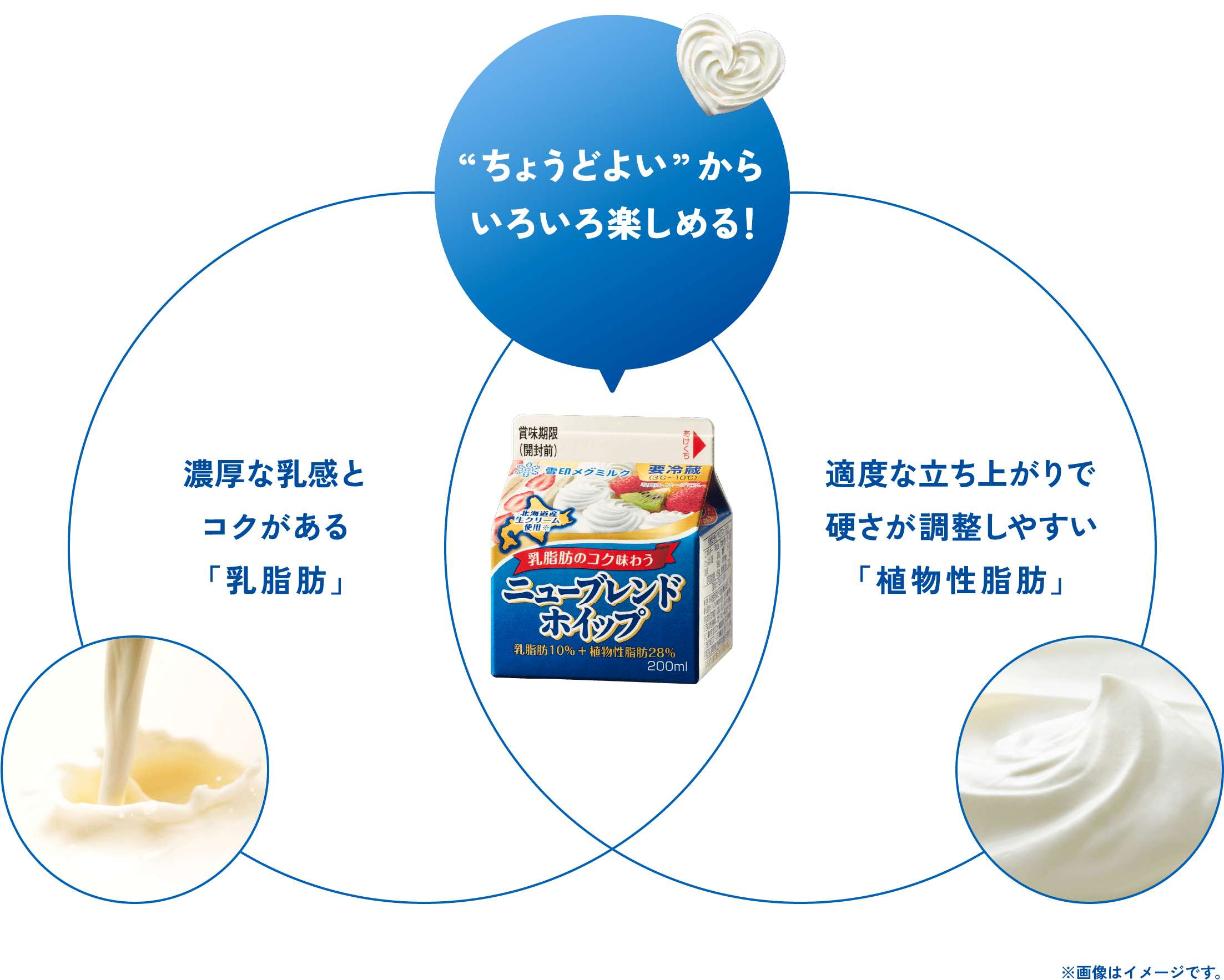 ちょうどよいホイップ！　濃厚な乳感とコクがある「乳脂肪」　適度な立ち上がりで固さが調整しやすい「植物性脂肪」