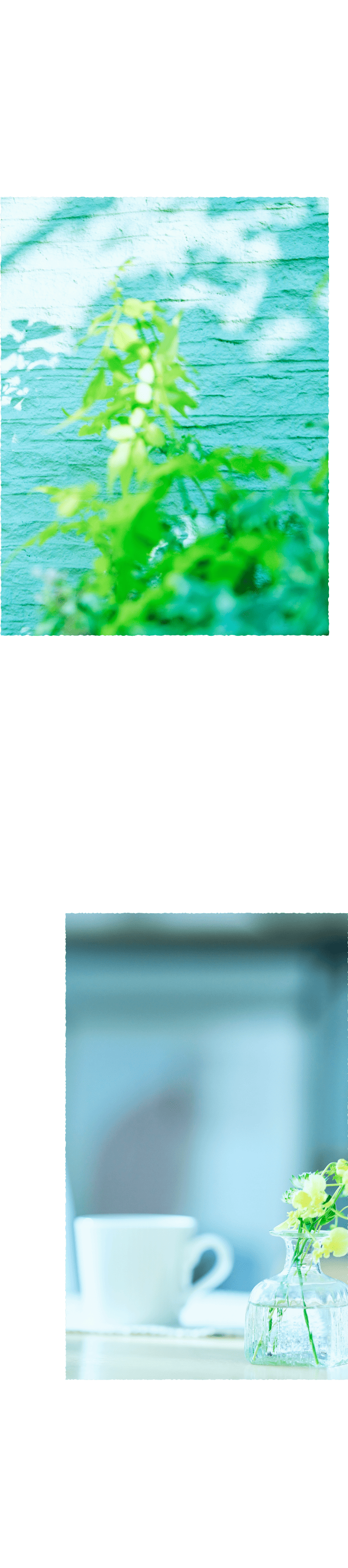 商品ラインナップ　シリーズ続々開発中！新商品もお楽しみに！