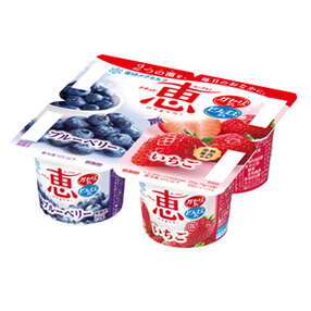 ナチュレ 恵 megumi ブルーベリー＋いちご