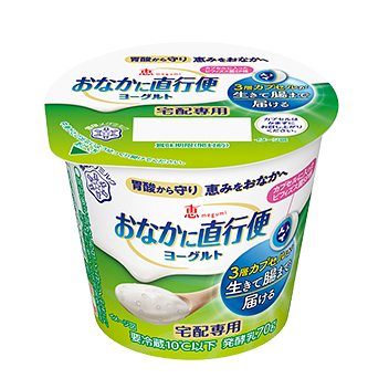 恵 megumi おなかに直行便ヨーグルト 宅配専用