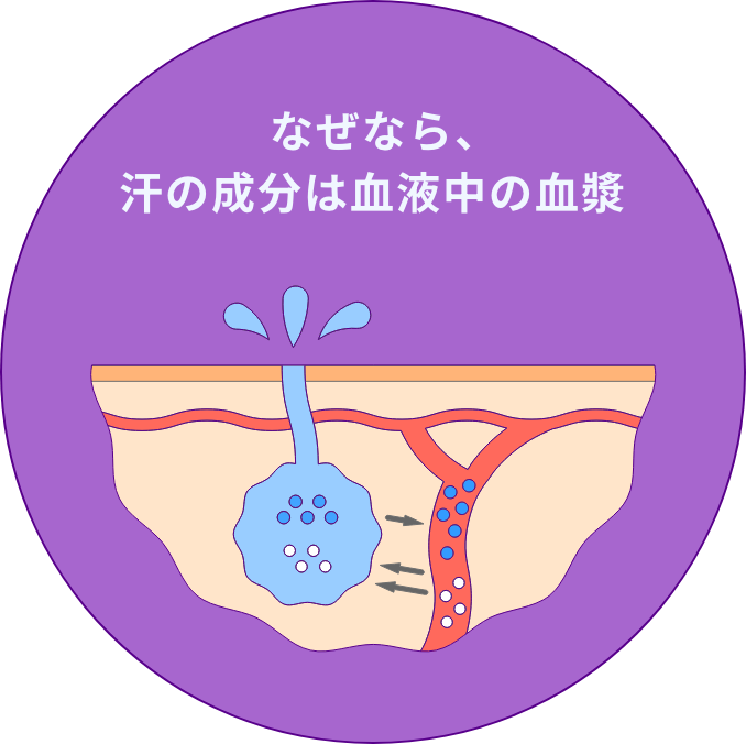   なぜなら、汗の成分は血液中の血漿
